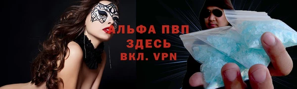 гашик Белокуриха