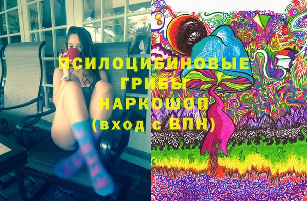 гашик Белокуриха